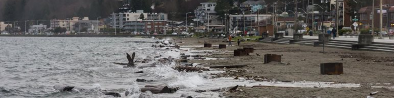 Shoreline in Washington showing high tides, debris on beach, and homes in the background.