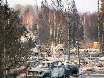 Burnt out vehicles and houses, dead trees in a town devastated by forest fire