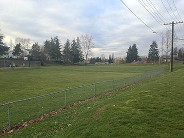 Photo showing the lawn of the park with a chain link fence at the edge