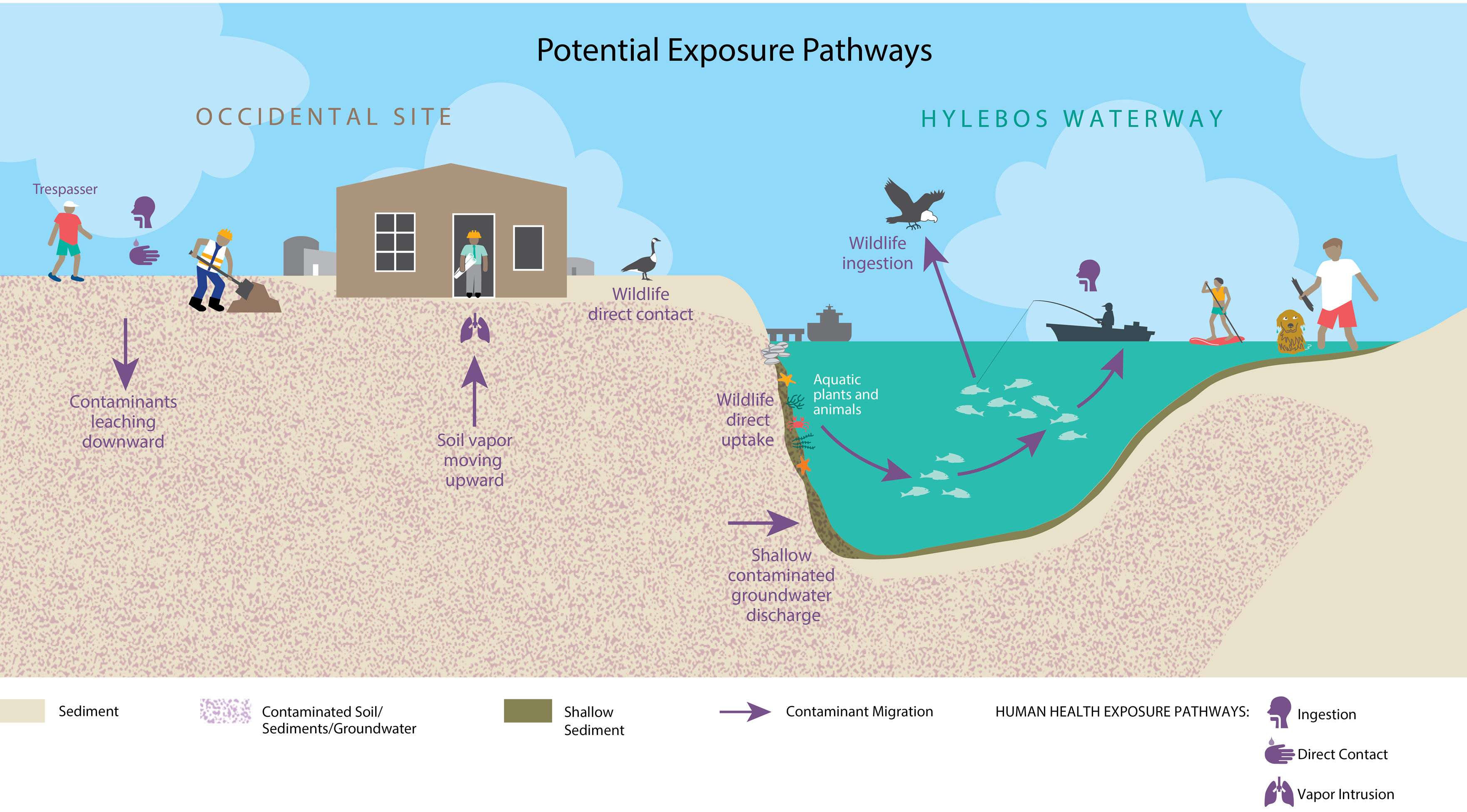 Graphic outlining exposure pathways from Occidental