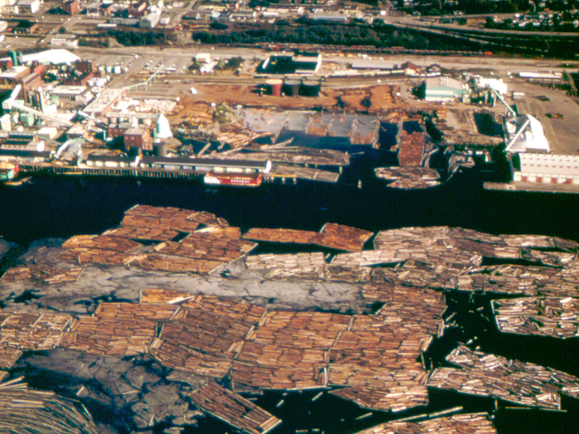 An aerial view of Bellingham Bay showing industry on the shore and thousands of logs floating in the bay.