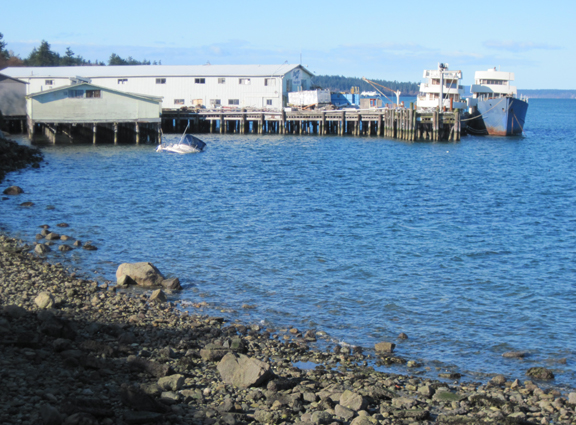 The Blue Dolphin boat sunk in the water.