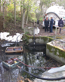 Skimming pond.