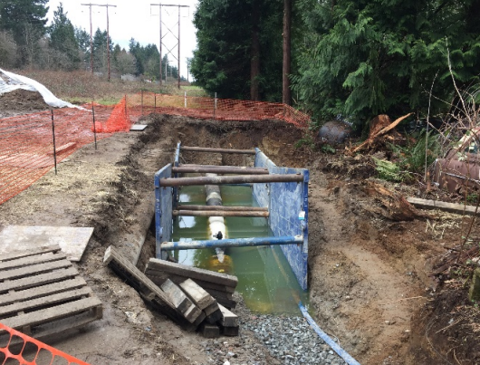 Photo of released product co-mingled with groundwater near Woodinville.