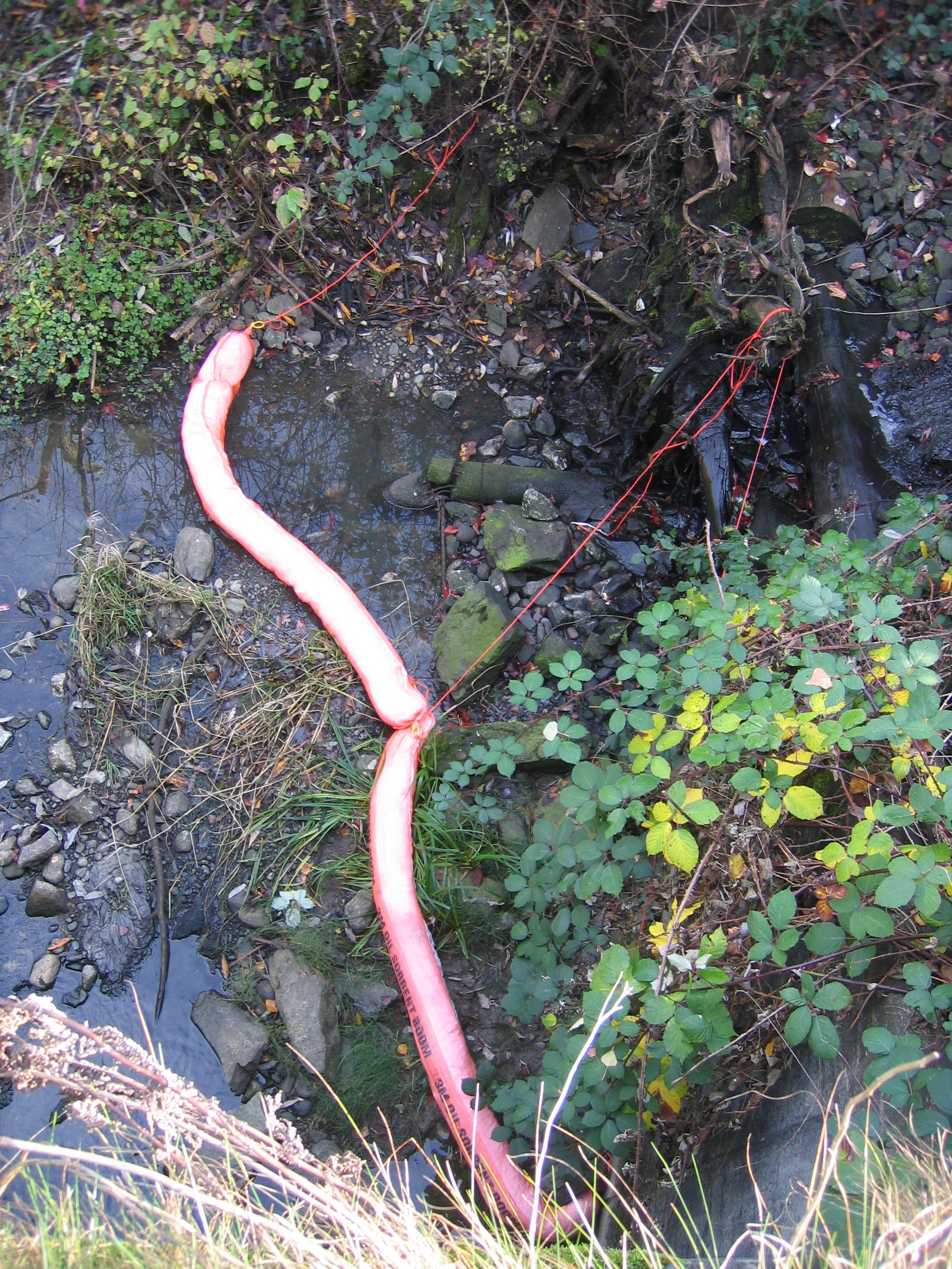 Oil absorbent boom near the outfall draining into Squalicum Creek.