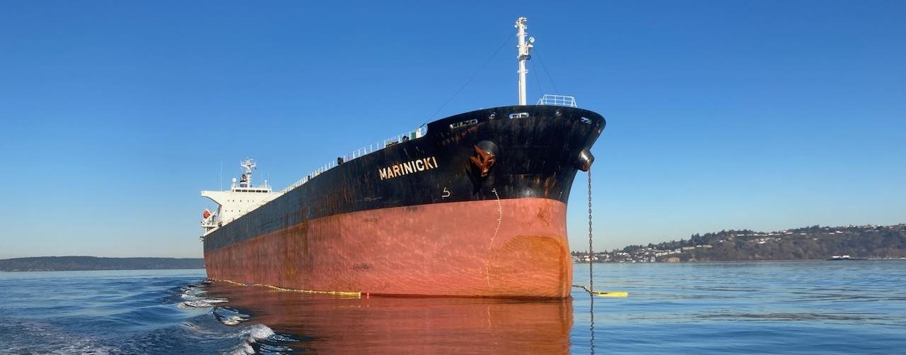 Bulker Marinicki at anchor