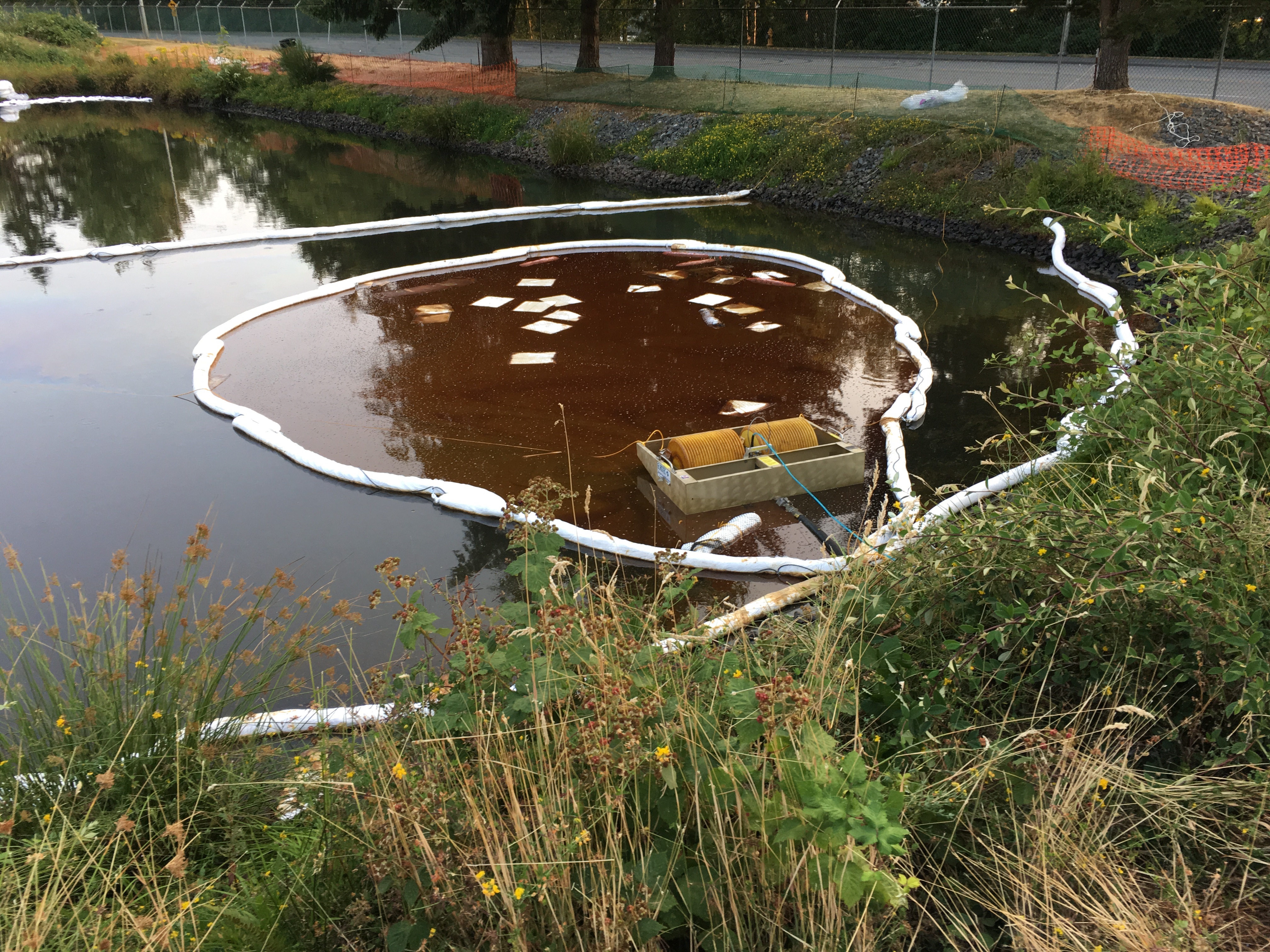 Absorbents surrounding oil in a stormwater pond.