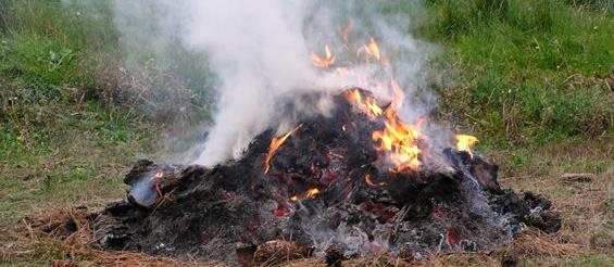 Photo of a legal burn pile, in flames with smoke.