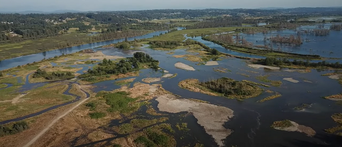 Aerial view of islands with trees surrounded by water.