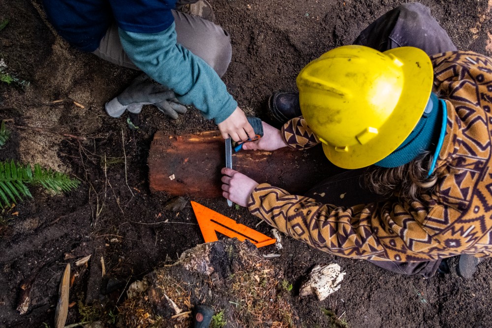 Two WCC members kneel over a log on trail and take a measurement of the log's width.