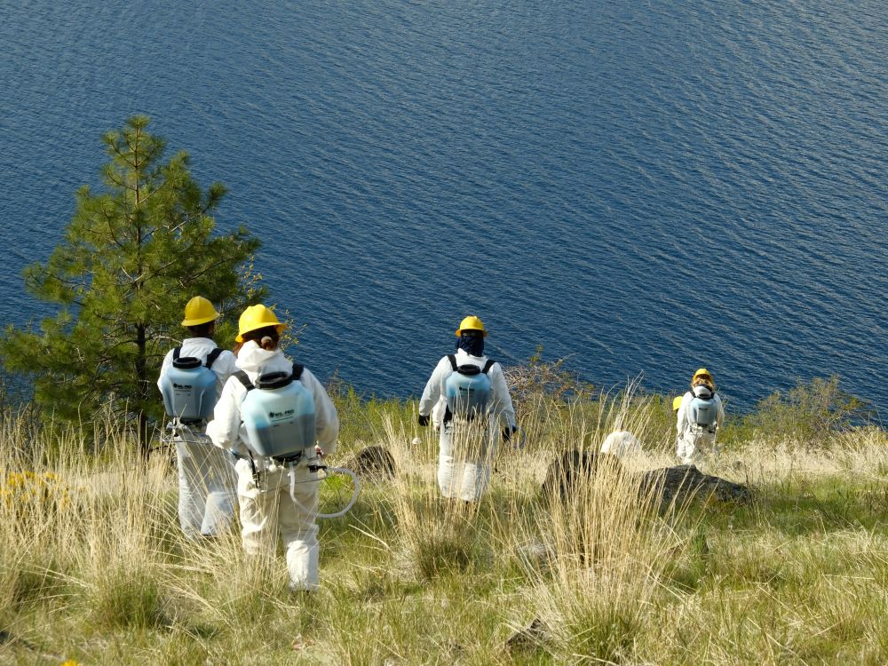 A group of WCC members wearing white Tyvek suits, hard hats, and backpacks descend a grassy slope toward a lake.