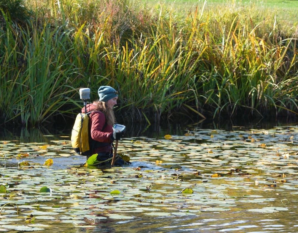 A WCC member wades through a body of water while carrying a variety of monitoring tools. The water surface is covered with lily pads and is surrounded by tall grasses.