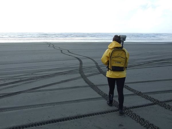 CMAP surveyor walking on the beach, collecting beach elevation data with GPS unit in her backpack