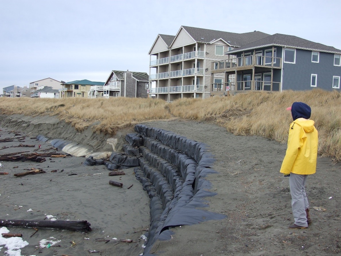 An Ecology employee inspects sand-filled geobags installed to protect houses, condominiums, and dunes from continued beach erosion at Ocean Shores during winter 2016.