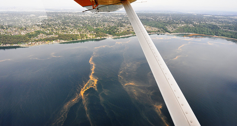 broad view of Puget Sound shoreline from above, water has streaks of orange