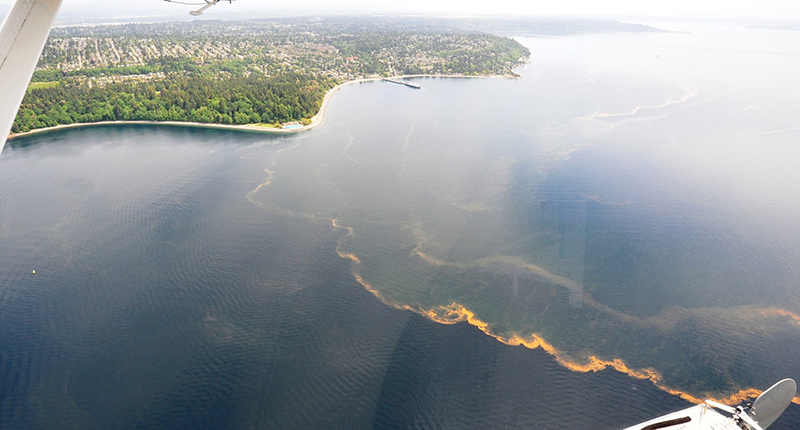 Puget Sound from an airplane shows water masses bordered by orange water