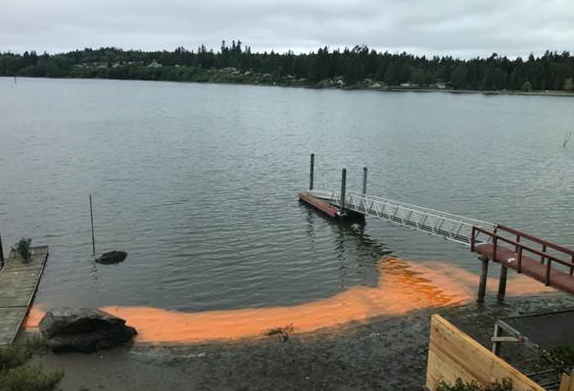 A pier juts out from a Puget Sound beach with pumpkin orange water along the shore.