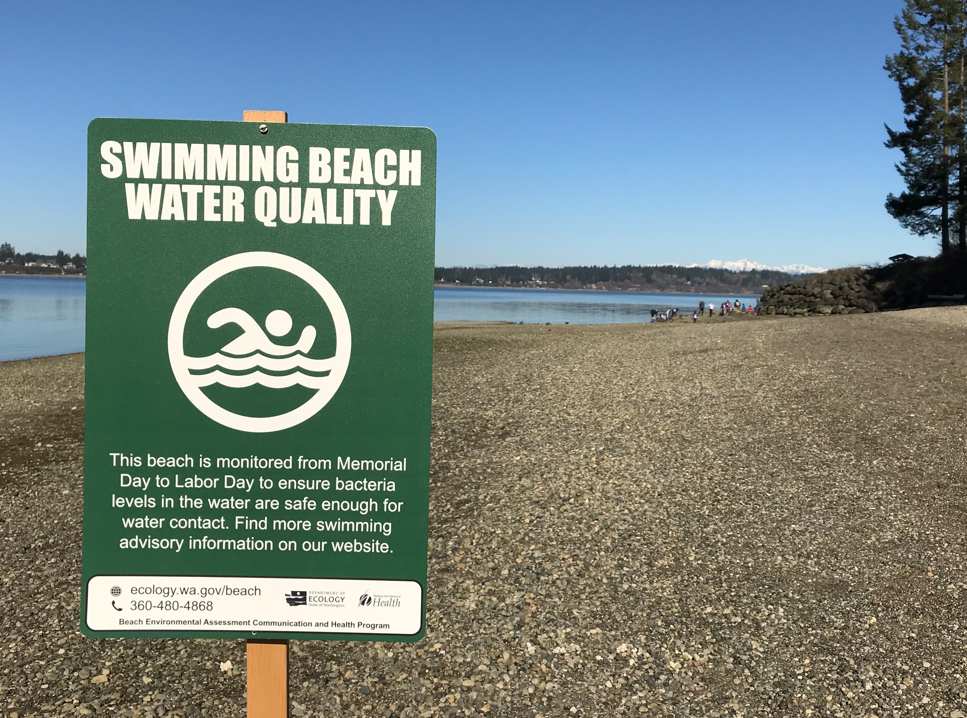 Green sign on a beach indicating that water recreation is safe.