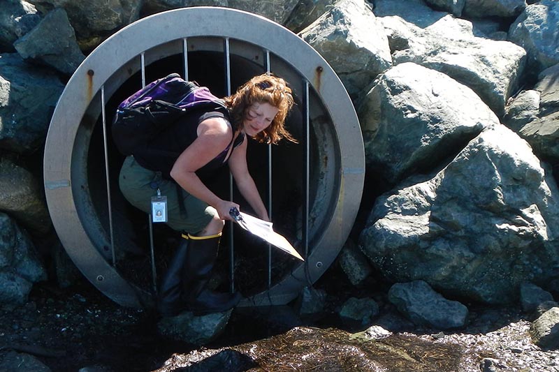 Scientist emerges from a large stormwater outfall with a clipboard and backpack