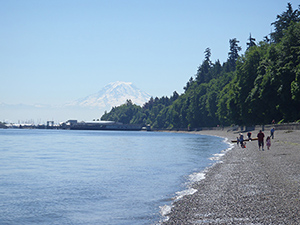 Family walks along rocky beach with trees and Mt. Ranier in background
