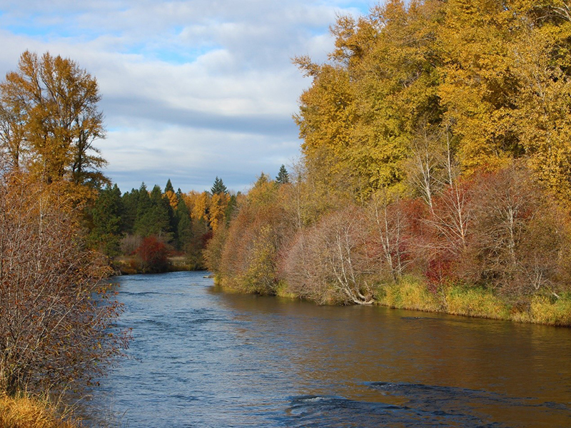 River surrounded by fall colored foliage