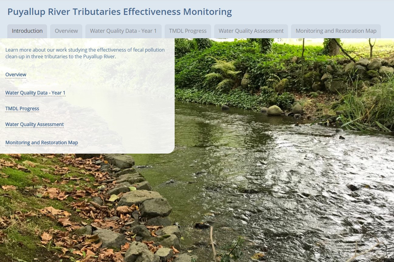 First page of story map with photo of Boise Creek and bank, and text from story map like water quality results and TMDL progress.