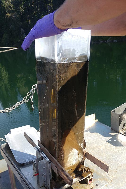 Purple-gloved scientist holds a clear acrylic box of lake sediment.