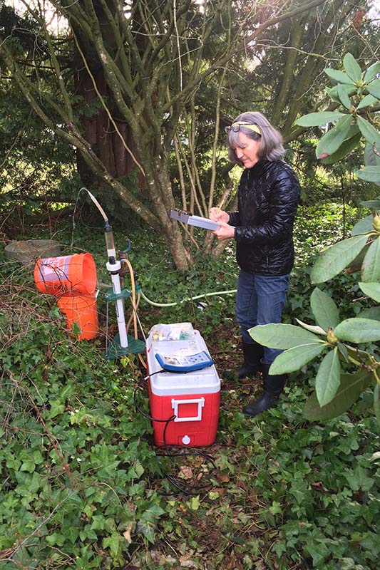 A scientist stands in an area with ivy and rhododendrons. Tubes come out a white pipe in the ground. She takes notes, a sample cooler at her feet.