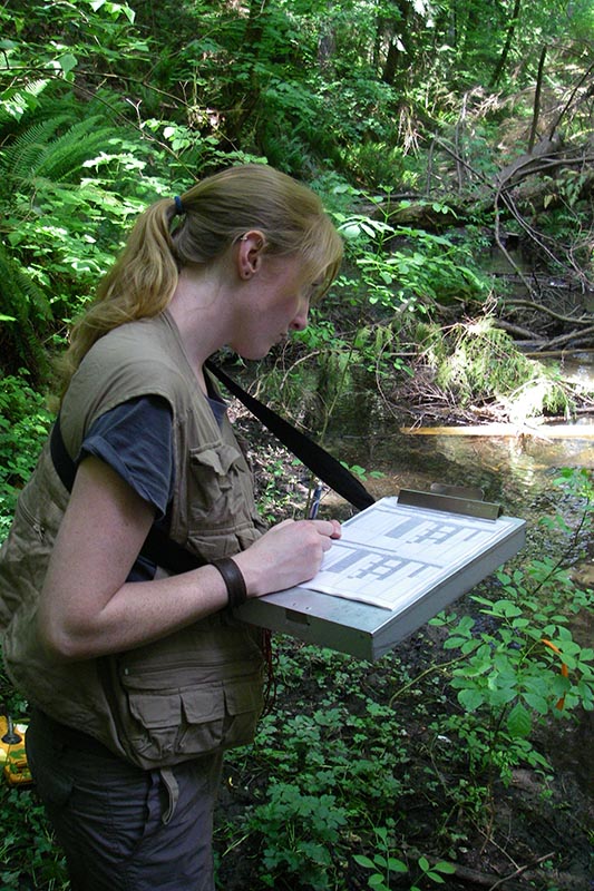 Scientist in vest with clipboard takes notes beside a stream.