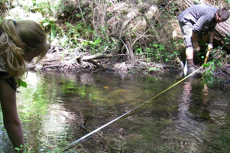 Two scientists suspend a measuring tape across a slow-moving forest stream.