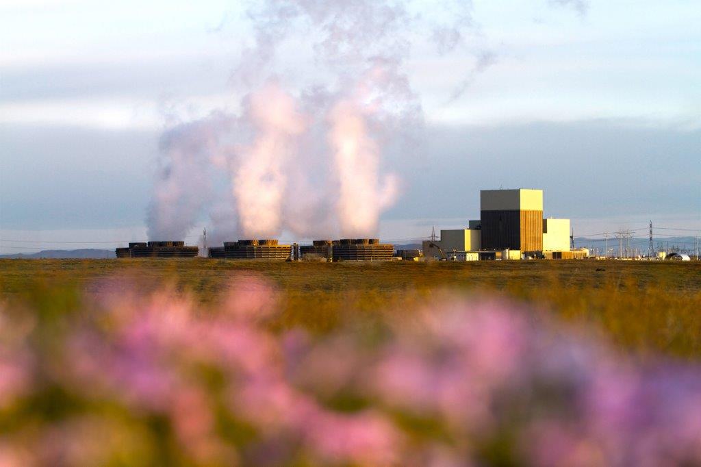 View of the nuclear power plant through a field of flowers.