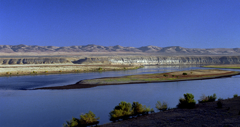 View of the Columbia River from the west bank, with brown grasses and shrubs in the foreground, blue water, a small island, and white bluffs and mountains across the river.