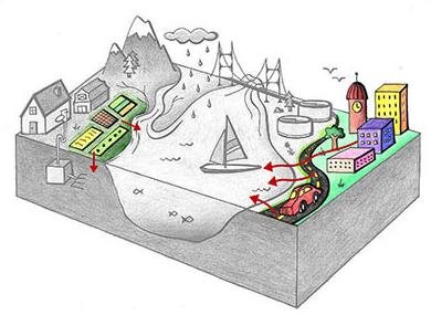 Grayscale cross-section of an ocean bay with landscape. Clockwise from the left are a farm with septic system, a mountain and river, an ocean inlet, a wastewater treatment plant, a road, and a city. The farm city, and road are colored, and red arrows show water running off into the bay.
