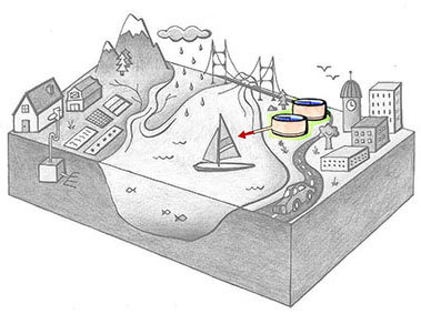 Grayscale cross-section of an ocean bay with landscape. Clockwise from the left are a farm with septic system, a mountain and river, an ocean inlet, a wastewater treatment plant, a road, and a city. The wastewater treatment plant is colored in, and red arrows show effluent running into the bay.