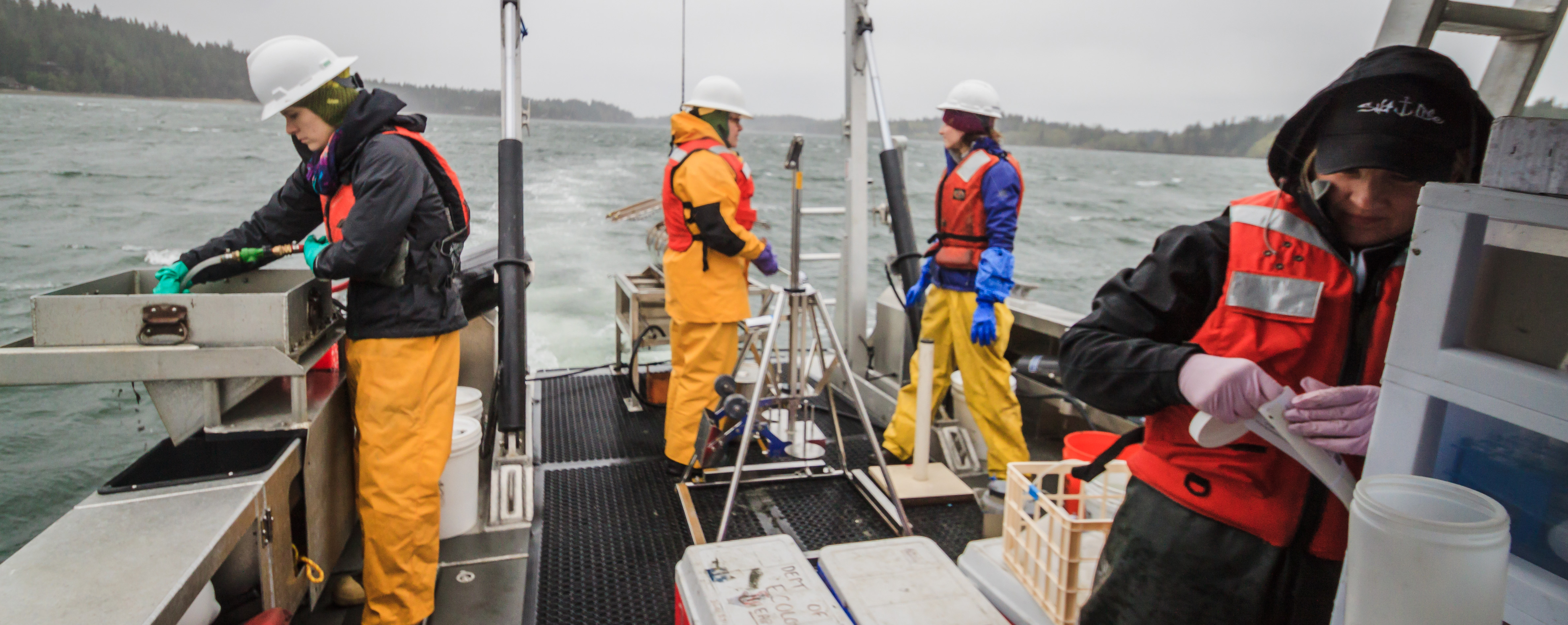 Four scientists in life jackets and rain suits work on the deck of a boat on a cloudy day on Puget Sound. One is washing sediment in a sieve with a hose and others are moving tubes full of sediment.  