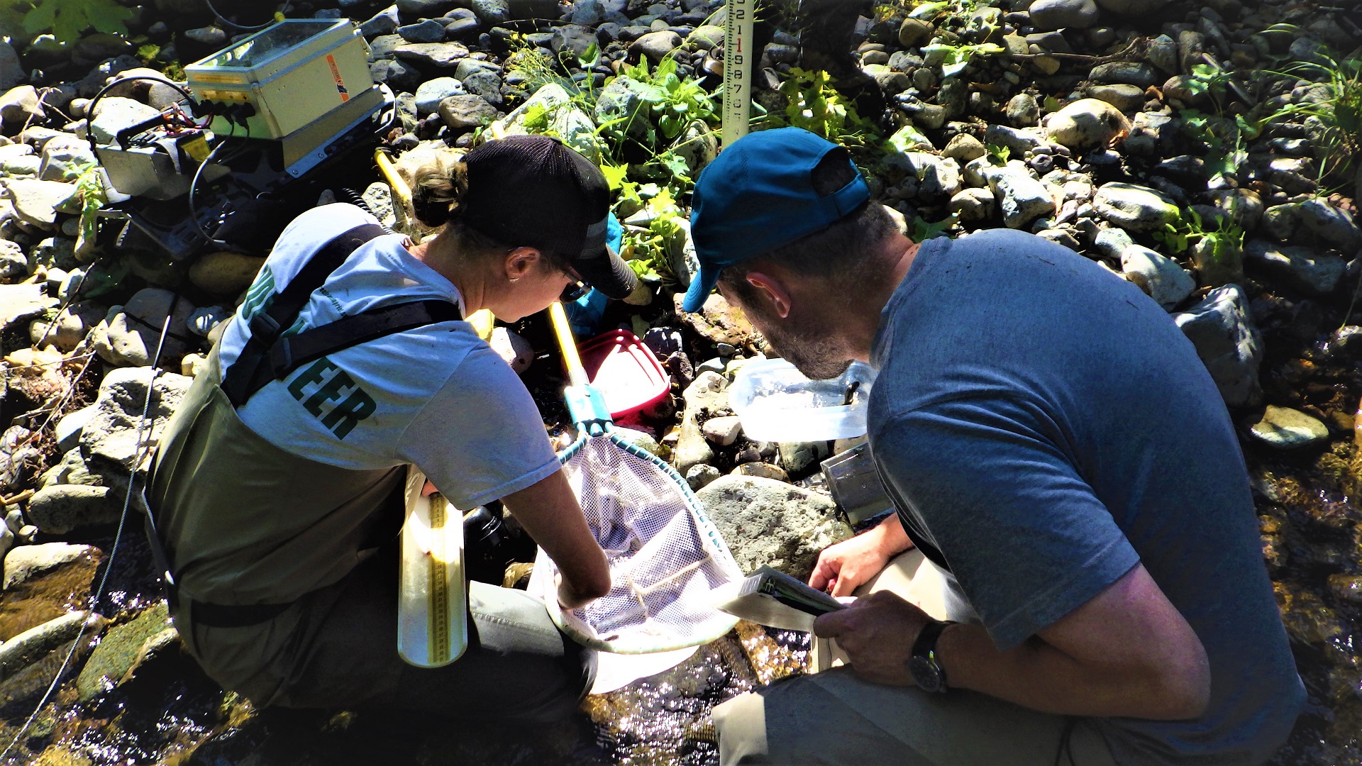 Two people looking at a fish in a net