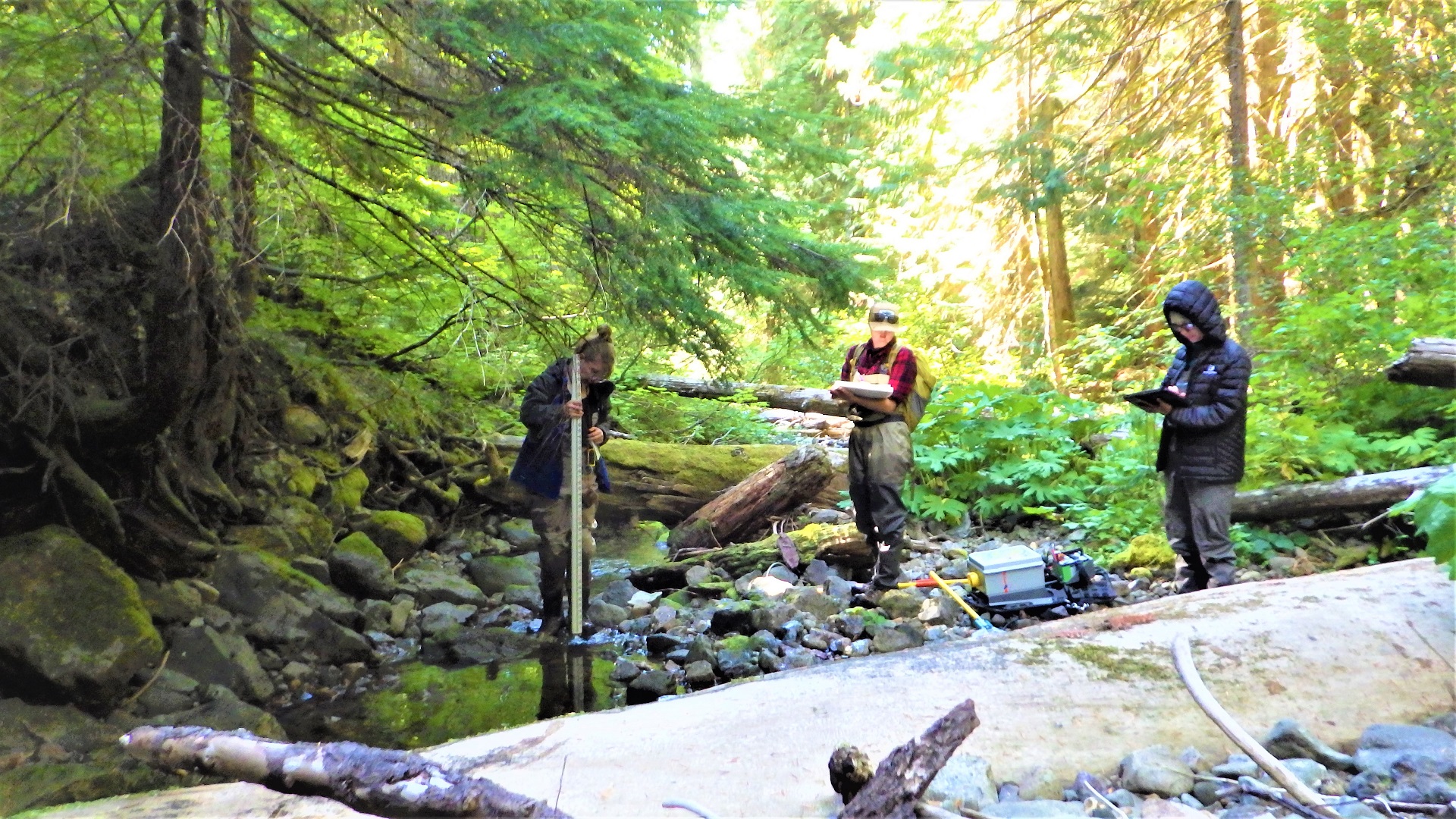 Three people stand in a stream holding measuring rods and clipboards