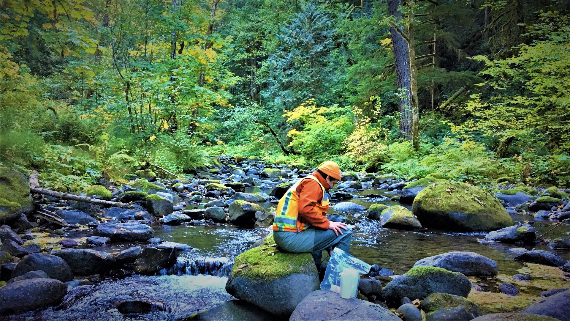 Person sits on mossy rock in stream with small plastic bottles