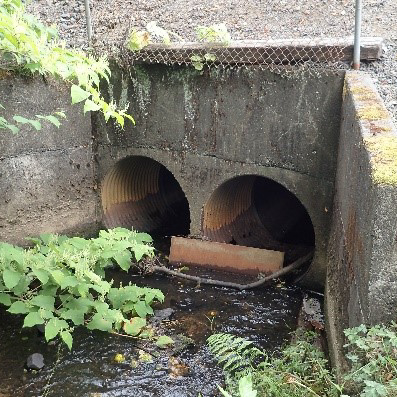 A stream flowing into a double culvert under a road