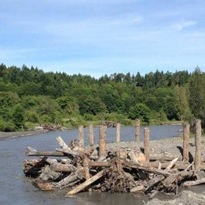 An engineered logjam in a river