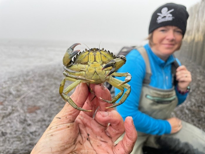Hand holding a crab with researcher in background