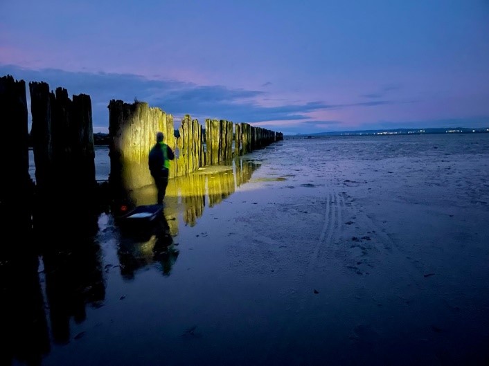 Person walking on tide flats at dawn