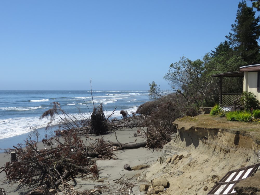 A house is near a badly eroded hill next to the beach. Trees that used to be on the hill are now lying on the beach, due to erosion.