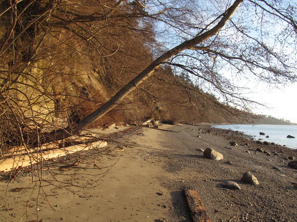 A sandy beach with rocks and logs.