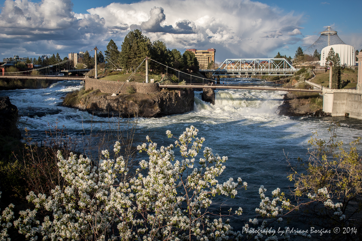 rushing river with bridge over it. 