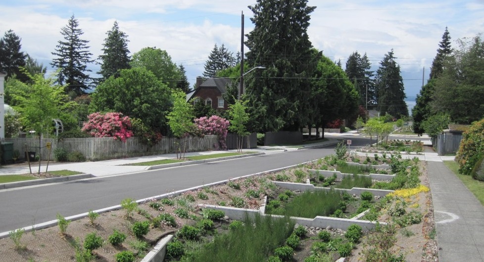 Stormwater bioretention facility on a residential street in spring time