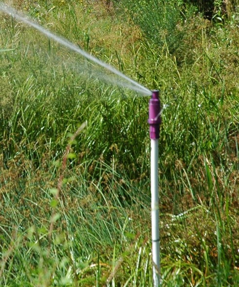 Picture of a sprinkler with a purple head spraying water on grass. 