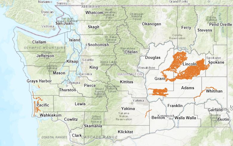 Map of possible mineral prospecting and placer mining locations in Washington.