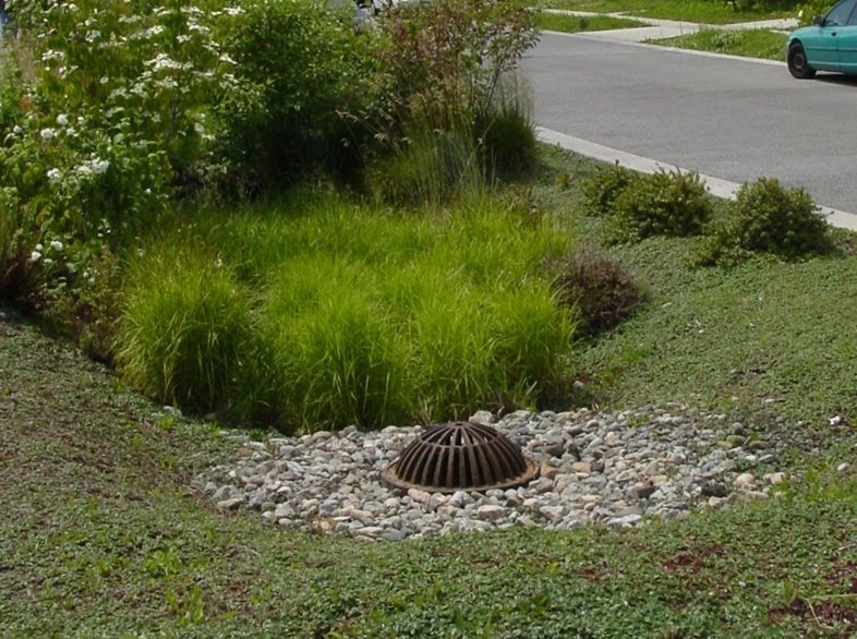The Manchester Stormwater Park, with a catch basin surrounded by small rocks and plants.