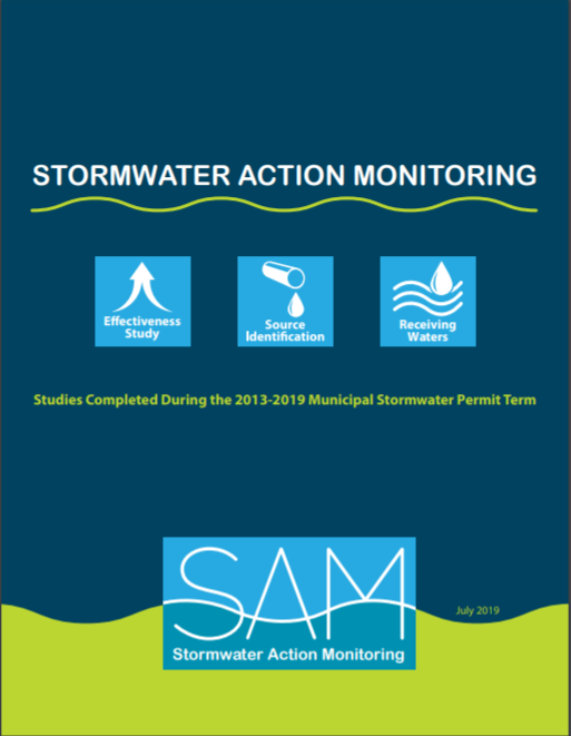 image of the document cover: Stormwater studies completed during the 2013-19 permit term. 